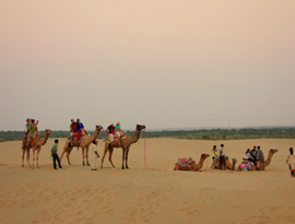 Desert Safrai In Jaisalmer